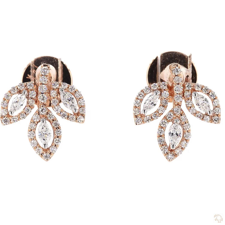 Ivy and Co. stud Earrings